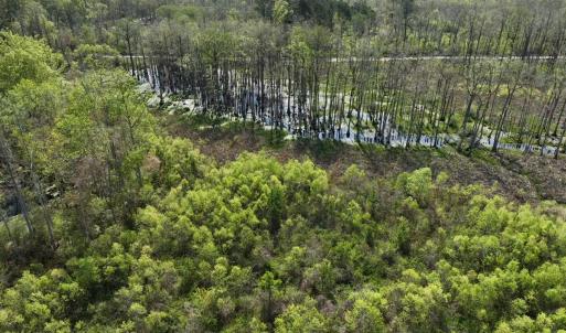 Photo #13 of Rocky Ford Rd., Salters, SC 182.0 acres