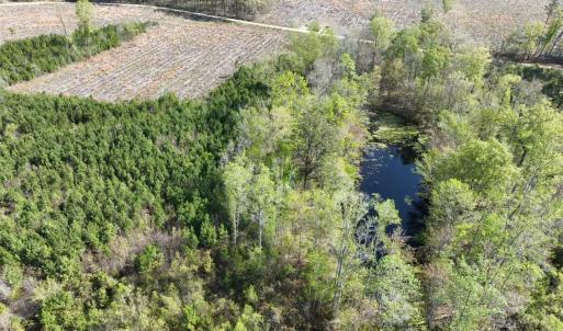 Photo #15 of Rocky Ford Rd., Salters, SC 182.0 acres