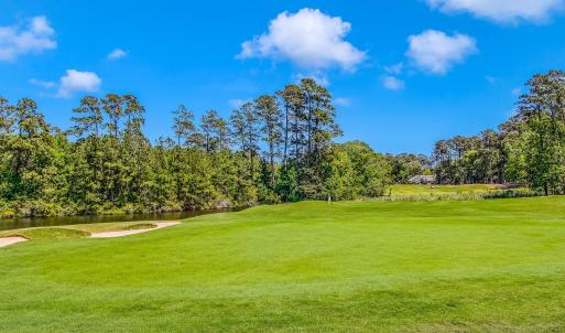 Photo #12 of 4507 Firethorne Dr., Murrells Inlet, SC 0.3 acres