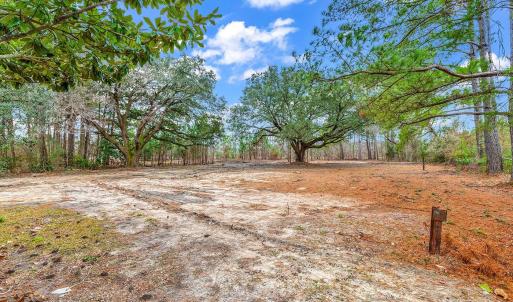 Photo #12 of 3930 Red Bluff Rd., Loris, SC 5.3 acres