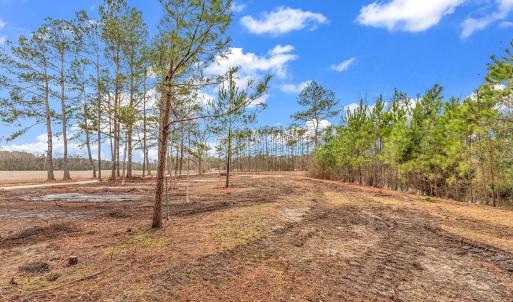 Photo #4 of 3930 Red Bluff Rd., Loris, SC 5.3 acres