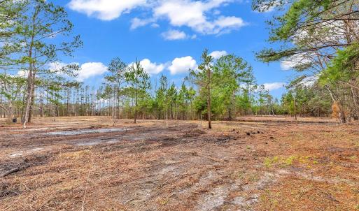 Photo #3 of 3930 Red Bluff Rd., Loris, SC 5.3 acres