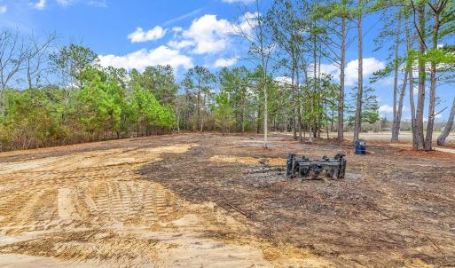 Photo #2 of 3930 Red Bluff Rd., Loris, SC 5.3 acres