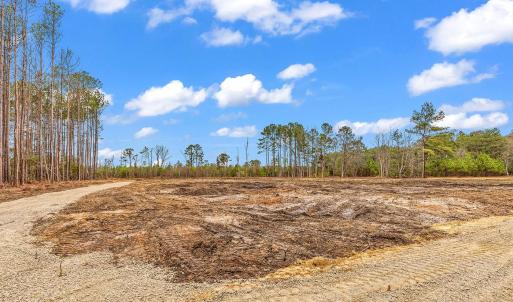 Photo #16 of 3930 Red Bluff Rd., Loris, SC 5.3 acres