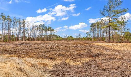 Photo #14 of 3930 Red Bluff Rd., Loris, SC 5.3 acres