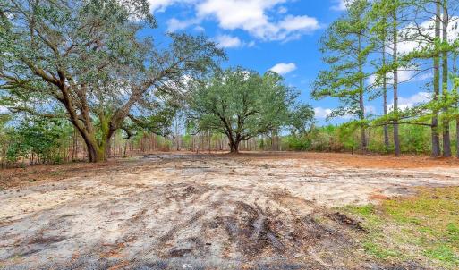 Photo #11 of 3930 Red Bluff Rd., Loris, SC 5.3 acres