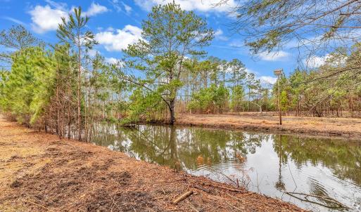 Photo #5 of 3930 Red Bluff Rd., Loris, SC 5.3 acres