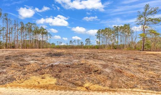 Photo #15 of 3930 Red Bluff Rd., Loris, SC 5.3 acres