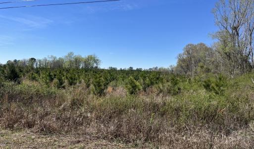 Photo #2 of Attadale Rd, Blenheim, SC 51.8 acres