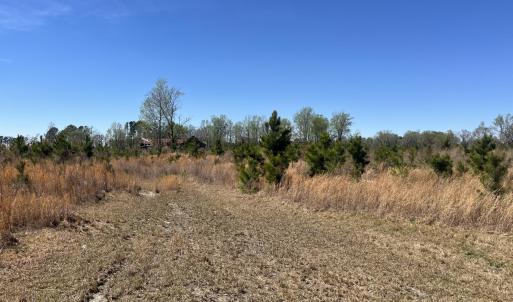 Photo #1 of Attadale Rd, Blenheim, SC 51.8 acres