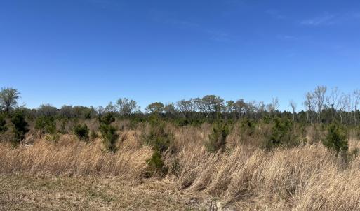 Photo #8 of Attadale Rd, Blenheim, SC 51.8 acres