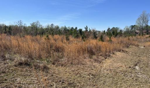 Photo #6 of Attadale Rd, Blenheim, SC 51.8 acres