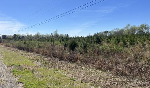 Photo #3 of Attadale Rd, Blenheim, SC 51.8 acres