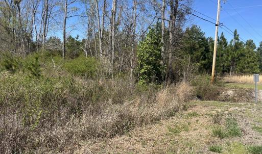 Photo #5 of Attadale Rd, Blenheim, SC 51.8 acres