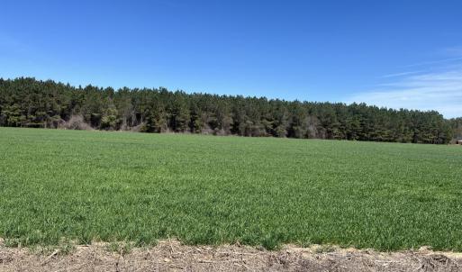 Photo #8 of Salem Rd., Bennettsville, SC 361.4 acres