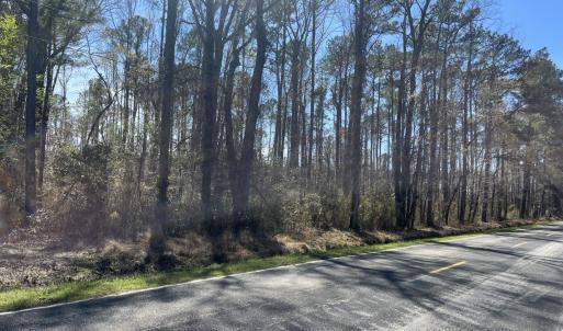 Photo #5 of Salem Rd., Bennettsville, SC 361.4 acres