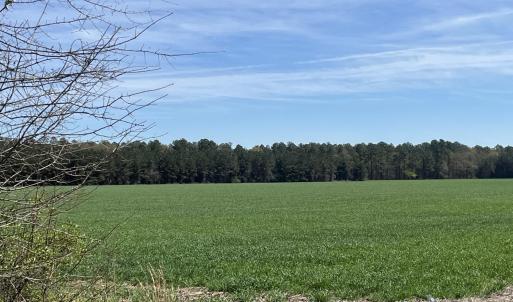 Photo #4 of Salem Rd., Bennettsville, SC 361.4 acres
