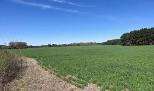 Photo #9 of Salem Rd., Bennettsville, SC 361.4 acres