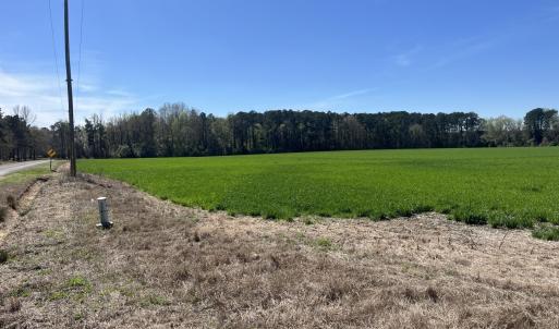 Photo #12 of Salem Rd., Bennettsville, SC 361.4 acres