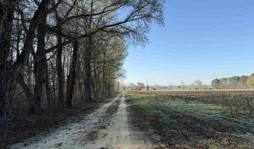 Photo #27 of 711 Cade Rd., Lake City, SC 66.0 acres