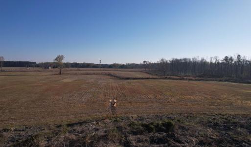 Photo #24 of 711 Cade Rd., Lake City, SC 68.0 acres