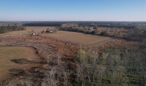 Photo #8 of 711 Cade Rd., Lake City, SC 68.0 acres