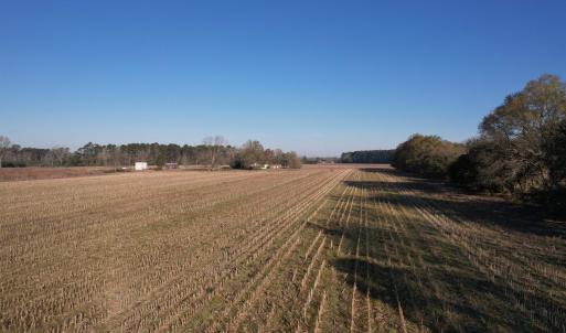 Photo #12 of 711 Cade Rd., Lake City, SC 68.0 acres