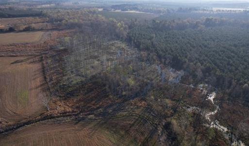 Photo #10 of 711 Cade Rd., Lake City, SC 68.0 acres