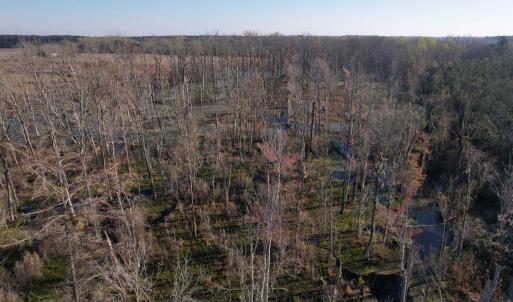 Photo #11 of 711 Cade Rd., Lake City, SC 68.0 acres