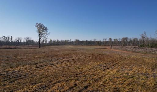 Photo #17 of 711 Cade Rd., Lake City, SC 68.0 acres