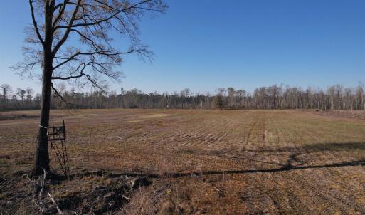 Photo #23 of 711 Cade Rd., Lake City, SC 68.0 acres