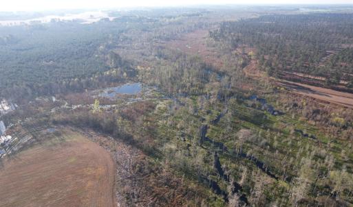 Photo #5 of 711 Cade Rd., Lake City, SC 68.0 acres