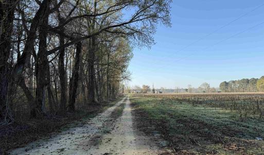 Photo #27 of 711 Cade Rd., Lake City, SC 68.0 acres