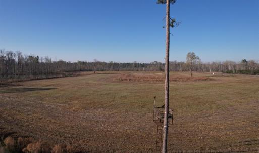 Photo #22 of 711 Cade Rd., Lake City, SC 68.0 acres