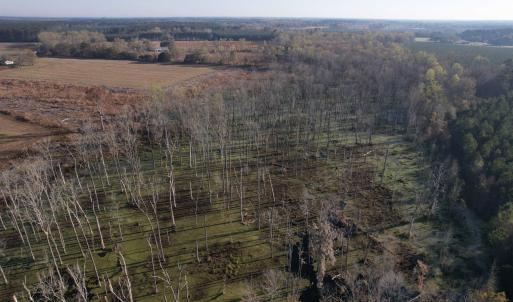 Photo #6 of 711 Cade Rd., Lake City, SC 68.0 acres