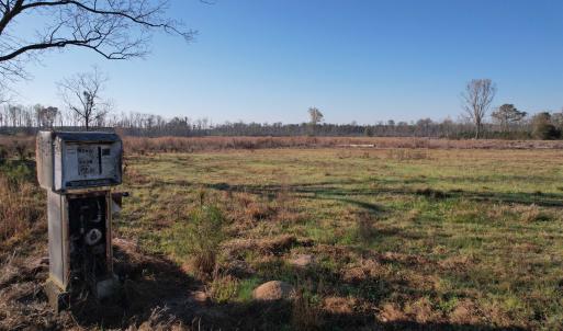 Photo #18 of 711 Cade Rd., Lake City, SC 68.0 acres