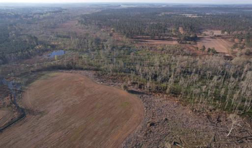Photo #4 of 711 Cade Rd., Lake City, SC 68.0 acres