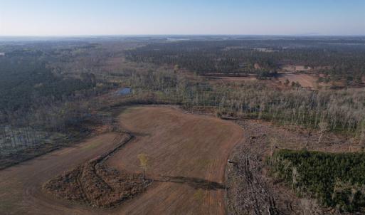 Photo #3 of 711 Cade Rd., Lake City, SC 68.0 acres