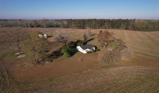 Photo #13 of 711 Cade Rd., Lake City, SC 68.0 acres