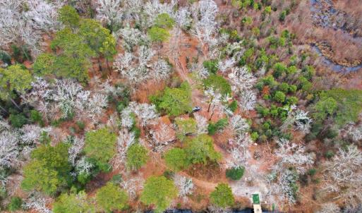 Photo #3 of 2512 Black Creek Rd., Florence, SC 0.7 acres