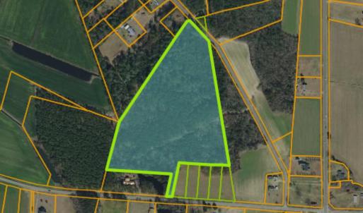 Photo #1 of TBD Joyner Swamp Rd., Galivants Ferry, SC 22.1 acres