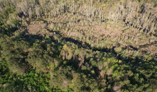 Photo #12 of 9.06 Acres-1829 Pamplico Hwy., Pamplico, SC 9.1 acres