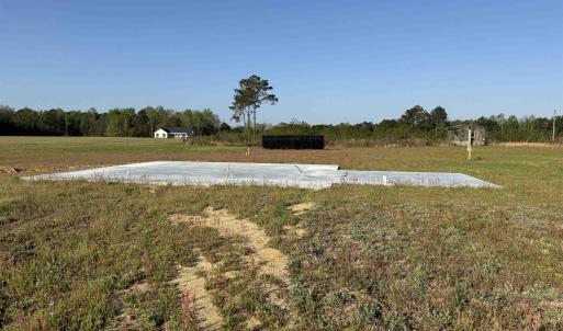 Photo #13 of 9.06 Acres-1829 Pamplico Hwy., Pamplico, SC 9.1 acres