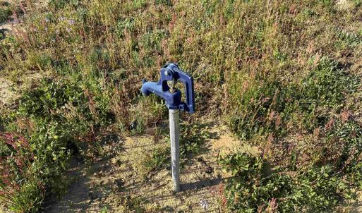 Photo #15 of 9.06 Acres-1829 Pamplico Hwy., Pamplico, SC 9.1 acres