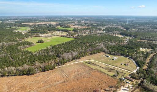 Photo #11 of TBD - Lot 1 & 2 Daphane Dr., Loris, SC 13.5 acres