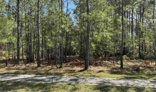 Photo #1 of 113 Pineberry Dr., Georgetown, SC 0.1 acres