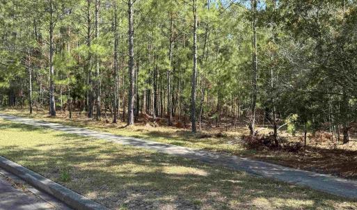Photo #2 of 113 Pineberry Dr., Georgetown, SC 0.1 acres