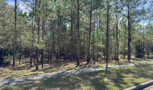 Photo #3 of 113 Pineberry Dr., Georgetown, SC 0.1 acres