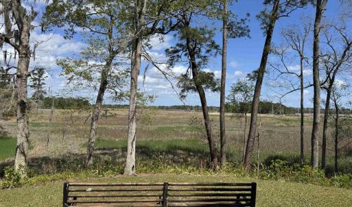 Photo #5 of 113 Pineberry Dr., Georgetown, SC 0.1 acres