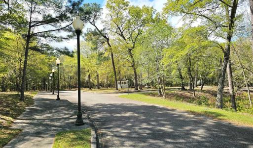 Photo #6 of 113 Pineberry Dr., Georgetown, SC 0.1 acres